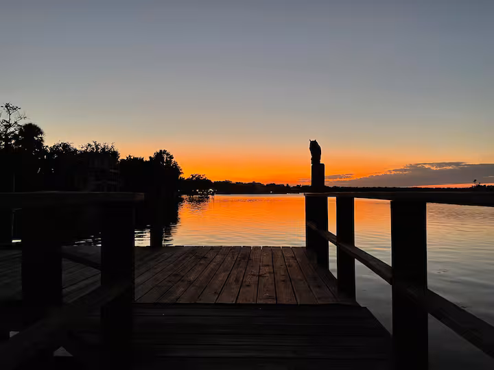 Crystal River Manatee Palace
